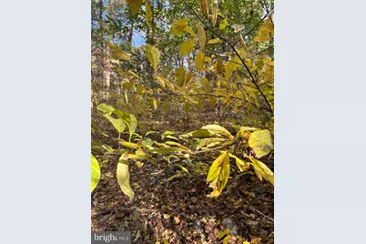 0 Bertolet School Road, Spring City, PA 19475 - Photo 5