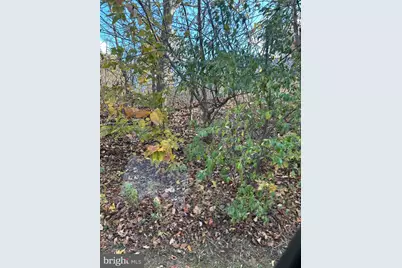 0 Bertolet School Road, Spring City, PA 19475 - Photo 7