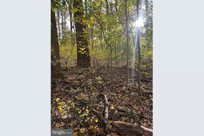 0 Bertolet School Road, Spring City, PA 19475 - Photo 11