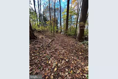 0 Bertolet School Road, Spring City, PA 19475 - Photo 15