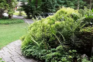 7 Dogwood Dell, Coatesville, PA 19320 - Photo 41