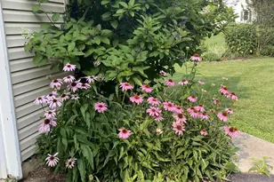 5 Roosevelt Way, Avondale, PA 19311 - Photo 49