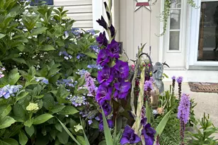 5 Roosevelt Way, Avondale, PA 19311 - Photo 47