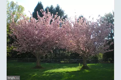 4 Treemont Drive, Malvern, PA 19355 - Photo 5