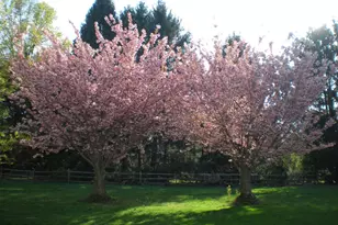 4 Treemont Dr, Malvern, PA 19355 - Photo 5