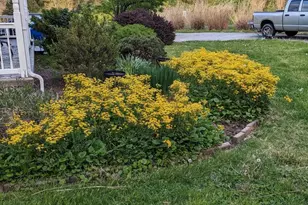 3 Parsons Rd, Landenberg, PA 19350 - Photo 63