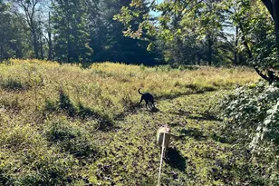 1705 Mountainview Dr, Chesterbrook, PA 19087 - Photo 17