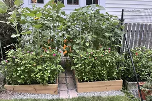 518 Newtown Rd, Berwyn, PA 19312 - Photo 81