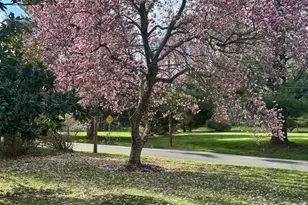 211 Deepdale Rd, Wayne, PA 19087 - Photo 39