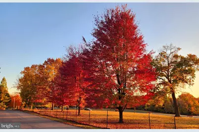 117 Wayne Avenue, Malvern, PA 19355 - Photo 31