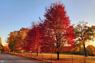 117 Wayne Ave, Malvern, PA 19355 - Photo 31