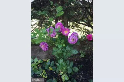 27 McCormick Way, Lincoln University, PA 19352 - Photo 53