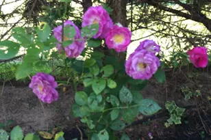 27 McCormick Way, Lincoln University, PA 19352 - Photo 53