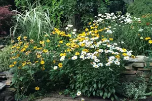 27 McCormick Way, Lincoln University, PA 19352 - Photo 51