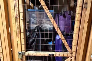 134 Drummers Ln, Wayne, PA 19087 - Photo 27