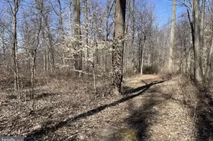 0 Templin Rd, Glenmoore, PA 19343 - Photo 1