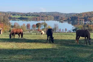 120 Lyndell Rd, Downingtown, PA 19335 - Photo 75