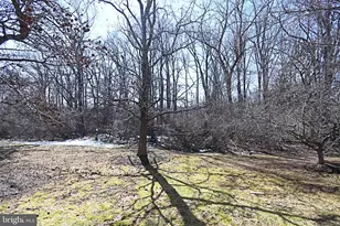 613 Washington Pl, Chesterbrook, PA 19087 - Photo 5