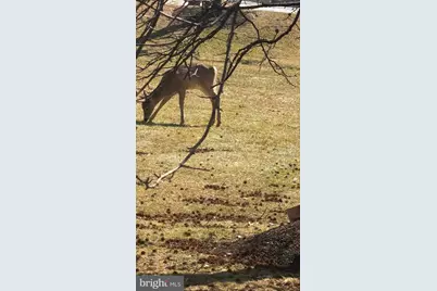 613 Washington Place #13, Tredyffrin, PA 19087 - Photo 51