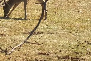 613 Washington Pl, Chesterbrook, PA 19087 - Photo 51