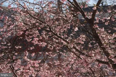 134 Justin Drive #50, West Chester, PA 19382 - Photo 27