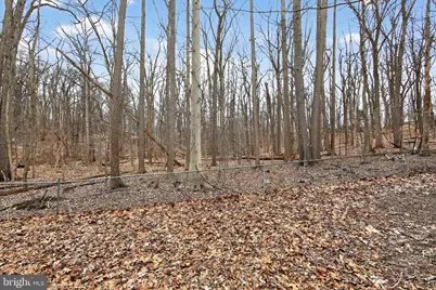 141 Putney Lane, Malvern, PA 19355 - Photo 39