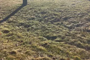 329 Heron Dr, Lincoln University, PA 19352 - Photo 17