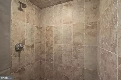 81 Barrington Lane, Chester Springs, PA 19425 - Photo 61