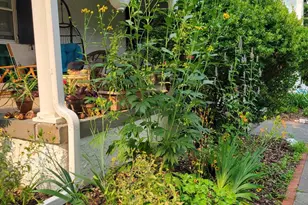 57 Grubb Rd, Malvern, PA 19355 - Photo 39