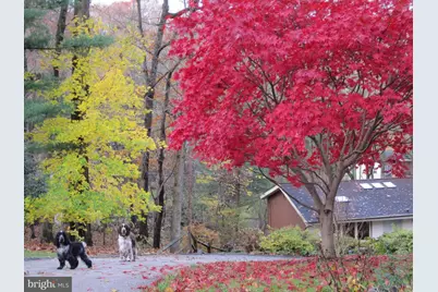 610 Arlyn Circle, Wayne, PA 19087 - Photo 37