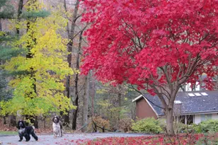 610 Arlyn Cir, Wayne, PA 19087 - Photo 37