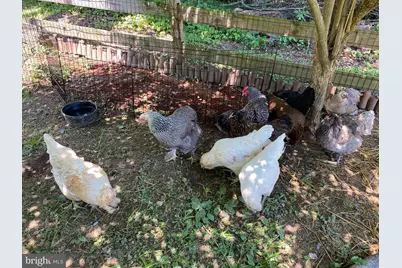 100 Pennfield Drive, Kennett Square, PA 19348 - Photo 43