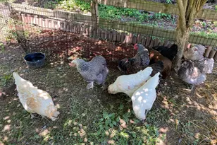 100 Pennfield Dr, Kennett Square, PA 19348 - Photo 43