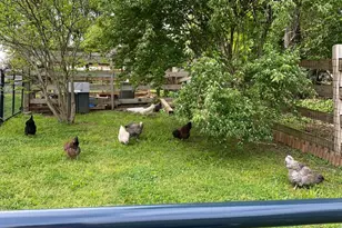 100 Pennfield Dr, Kennett Square, PA 19348 - Photo 37