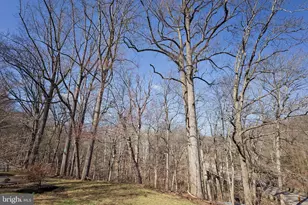 231 Laurel Bridge Rd, Landenberg, PA 19350 - Photo 41