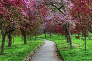 120 W Union St, West Chester, PA 19382 - Photo 69