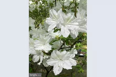 230 Jug Hollow Road, Valley Forge, PA 19481 - Photo 57