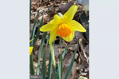 230 Jug Hollow Road, Valley Forge, PA 19481 - Photo 53