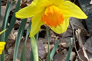 230 Jug Hollow Rd, Valley Forge, PA 19481 - Photo 53