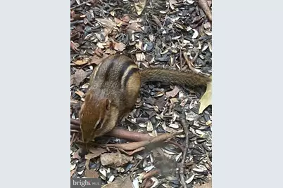 230 Jug Hollow Road, Valley Forge, PA 19481 - Photo 33