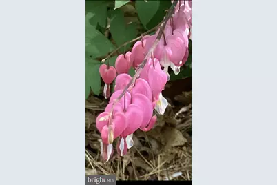 230 Jug Hollow Road, Valley Forge, PA 19481 - Photo 45