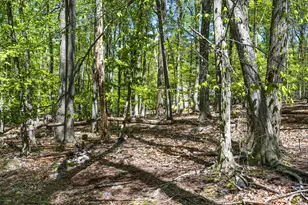 230 Jug Hollow Rd, Valley Forge, PA 19481 - Photo 35