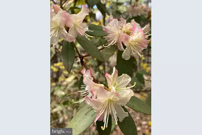 230 Jug Hollow Road, Valley Forge, PA 19481 - Photo 59