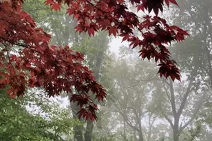 230 Jug Hollow Rd, Valley Forge, PA 19481 - Photo 41