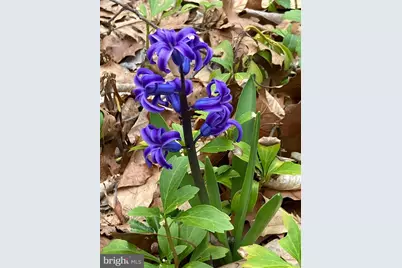 230 Jug Hollow Road, Valley Forge, PA 19481 - Photo 31