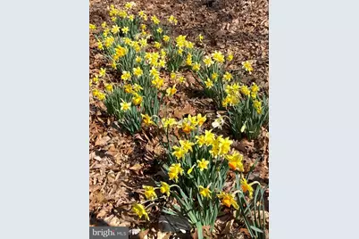 230 Jug Hollow Road, Valley Forge, PA 19481 - Photo 55