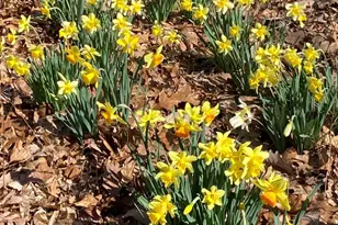 230 Jug Hollow Rd, Valley Forge, PA 19481 - Photo 55