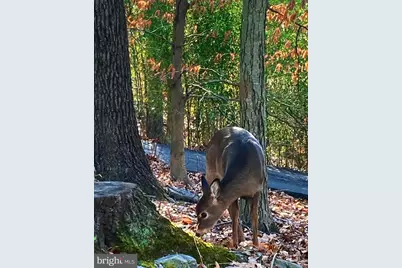 230 Jug Hollow Road, Valley Forge, PA 19481 - Photo 35