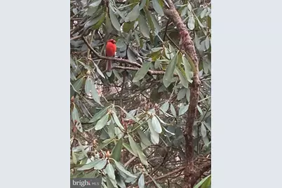 230 Jug Hollow Road, Valley Forge, PA 19481 - Photo 37