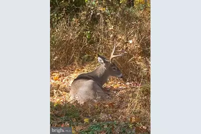 230 Jug Hollow Road, Valley Forge, PA 19481 - Photo 47